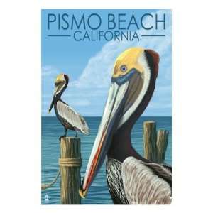 Pismo Beach, California   Pelicans Premium Poster Print, 18x24  