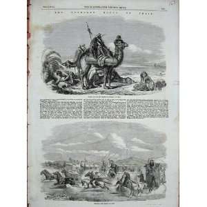    1858 Isthmus Suez Egypt Camels Coaches Horses Print
