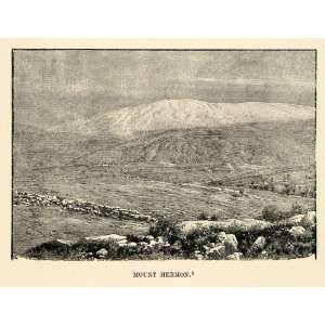  1903 Print Mount Hermon Lebanon Syria Senir Sirion Sion 