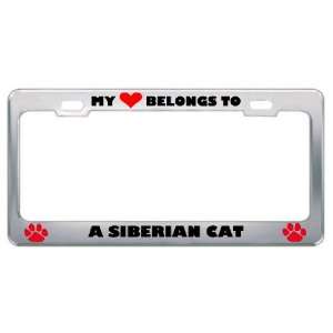 My Heart Belongs To A Siberian Cat Animals Pets Metal License Plate 