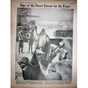  1916 WW1 Camels Desert Senussi General Peyton Army