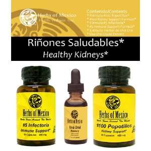   Kidneys Kit / Paquete Riñones Saludables