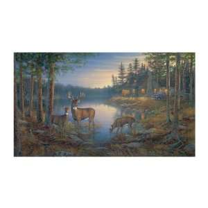   Lake Forest Lodge LM7955M Quiet Places Mural, Multi