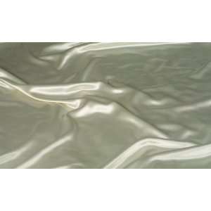   SKU7550, PILLOW CASE of Sonoma Satin, Champagne, Queen