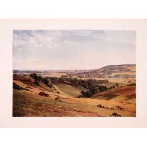 1909 Print Arundel Castle Sutton Palmer Landscape Valley Sheep Birds 