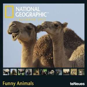  2011 Animal Calendars: National Geographic Funny Animals 