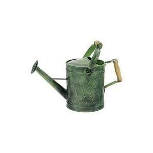  GREEN PATINA WATERING CAN, Color GREEN; Size 1 GALLON 