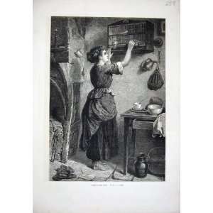  1876 Barefoot Woman Lady Feeding Pets House Fine Art: Home 