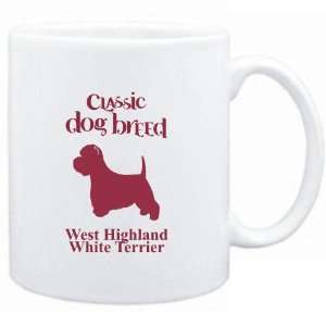   Dog Breed West Highland White Terrier  Dogs
