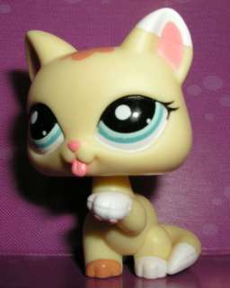  Littlest Pet Shop Pet Adoption Center Playset : Toys & Games