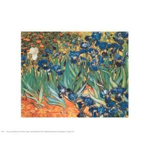  Vincent Van Gogh Iris Garden 14x11 Poster Print