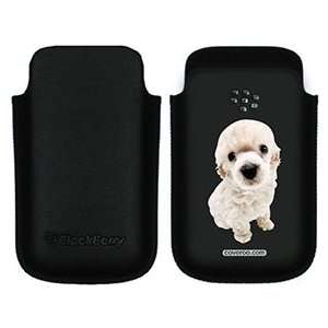  Poodle White on BlackBerry Leather Pocket Case  