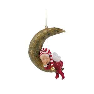  Whispering Willow Fairy Moonbeam Ornament Toys & Games