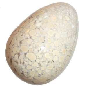    Leapard Jasper Egg  Grounding Energy Protection Healing Crystals