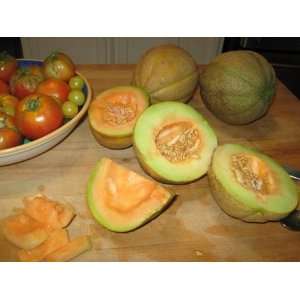  Evans Sweet Melon Seeds