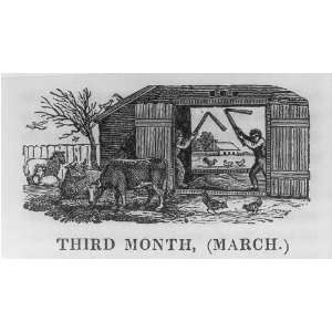  March,2 men working in barn,farm animals,Woodcut 