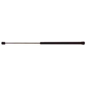   Buick Park Avenue Hood Lift Support 1997 04, Pack of 1 Automotive