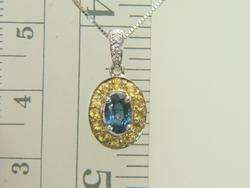 14K Gold Blue Yellow Sapphire Leslies Pendant Necklace  