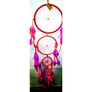   and purple mixed large dreamcatcher [Kitchen & Home]