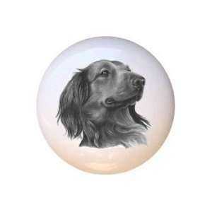  Long Haired Dachshund Dog Dogs Drawer Pull Knob: Home 