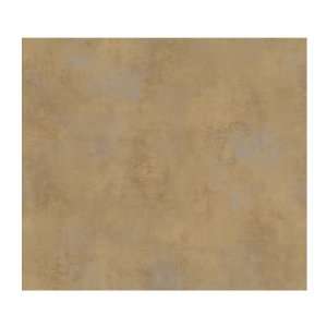  York Wallcoverings WW4473 West Wind Aged Stucco Prepasted 