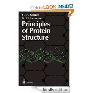 Principles of Protein Structure (Springer Advanced Texts in Chemistry 