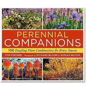  Perennial Companions 100 Dazzling Plant Combinations for 