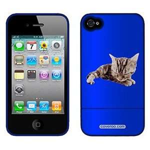   Short Hair Kitten on Verizon iPhone 4 Case by Coveroo Electronics