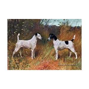 Two Fox Terriers 20x30 poster 