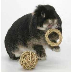  Peters Rabbit and Small Animal Chew Ring