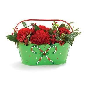  Candy Cane Tin Planter Berry Christmas Red Green: Patio 