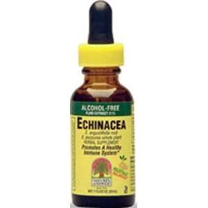 Echinacea Extract 2 Oz ( Organic Alcohol Fluid Extract )   Natures 