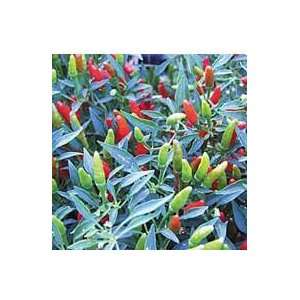  Pepper, Rooster Spur Patio, Lawn & Garden