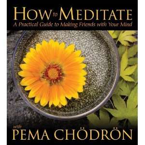  How to Meditate with Pema Chodron A Practical Guide to 