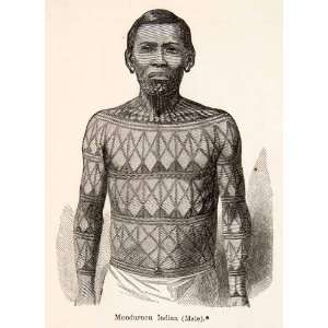 1868 Wood Engraving Portrait Tattoo Mundurucu Tribe Man Male Tattooed 