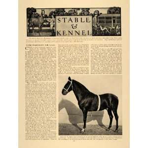  1907 Article Stable Kennel Veterinary Medicine Horse Colic 
