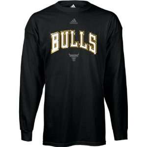Chicago Bulls Golden Mark Long Sleeve T Shirt  Sports 