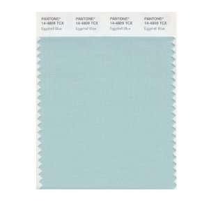  PANTONE SMART 14 4809X Color Swatch Card, Eggshell Blue 
