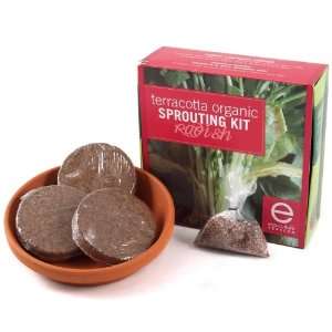 Eco Culture Terracotta Organic Radish Sprouting Kit 