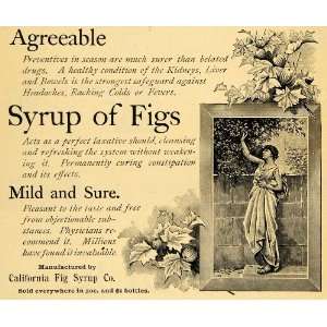  1895 Ad Laxative Cold Fever California Fig Syrup Co 