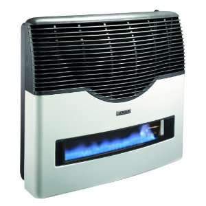  Longvie Direct Vent Gas Heater: Home & Kitchen