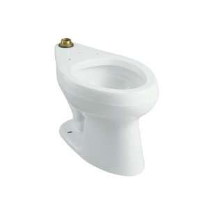 Wellworth 1.28 GPF Flushometer Elongated Toilet Bowl in White Finish 