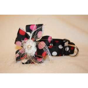  Black with Colored Polka Dots Flower Dog Collars: Pet 