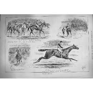   1884 Ascot Gold Cup Horse Racing Simon Sport Jockeys