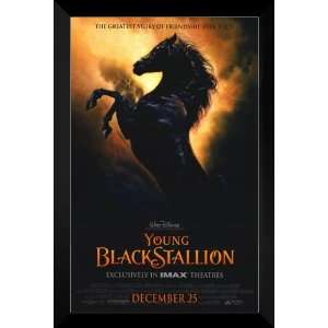  Young Black Stallion FRAMED 27x40 Movie Poster