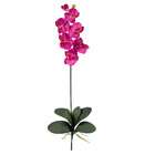   Napolien Single Star Bromeliad/Orchid Combo Silk Orchid Arrangement