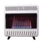 Sure Heat 30,000 BTU Blue Flame Dual Fuel Gas Space Heater with 