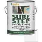 Sure Step 1 Gallon Clear Acrylic Anti slip Concrete Paint