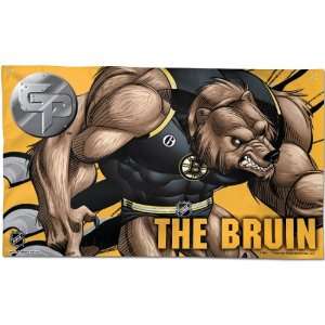 Wincraft The Guardian Project Boston Bruins 3X5 Wall Hanging  