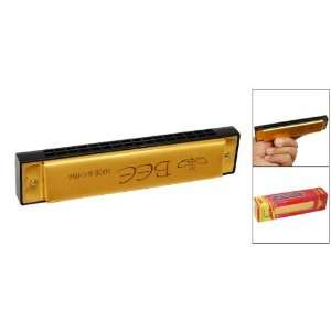   Doulbe 16 Hole Melodious Harmonica Mouth Organ Musical Instruments
